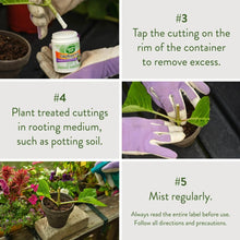 Garden Safe Take Root Rooting Hormone Powder, Grow New Plants from Cuttings, 2 Ounces