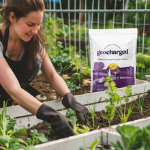 GeochargedOrganicMulti-PurposeFertilizer2 - USA Mega Market