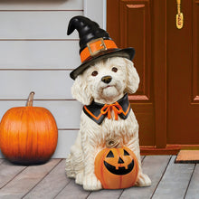 Halloween Witch Dog Greeter, Doodle