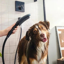 HansgroheDogShowerhead2 - USA Mega Market