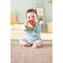 Hape Busy Bug Roll, Baby Rattle Toy, Unisex Child Ages 0M+, Plastic