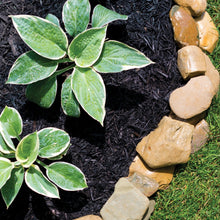 Hyponex by Scotts Mulch, for Landscapes and Gardens, 1.5 cu. ft. (Pack of 2)