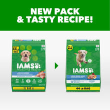 IAMS Proactive Health Large Breed Chicken Recipe Adult Dry Dog Food, Multi-sizes
