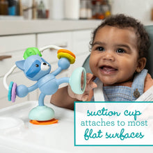 Infantino Stick & Spin Raccoon Pal Suction Attachment Toy, 4+ Months, Multicolor