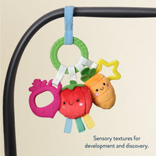 Itzy Ritzy Bitzy Busy Ring™ Veggie Car Seat and Stroller Activity Toy