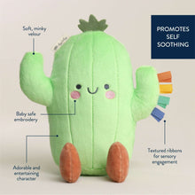 Itzy Ritzy Sweetie Snuggle™ Cactus Plush