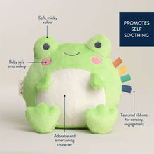 Itzy Ritzy Sweetie Snuggle™ Frog Plush