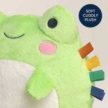 Itzy Ritzy Sweetie Snuggle™ Frog Plush