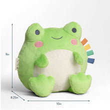 Itzy Ritzy Sweetie Snuggle™ Frog Plush
