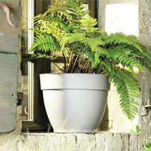 Jacinto Recycled Plastic Planter, 15 inch Opening Diameter, Cream Color