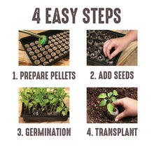 Jiffy 25 Cell Seed Starting Greenhouse with 42mm Peat Pellets w/SUPERThrive Sample