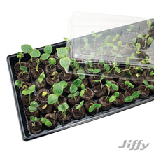 Jiffy-72-Cell-Greenhouse-Seed-St3 - USA Mega Market