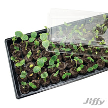 Jiffy 72 Cell Greenhouse Seed Starter Kit with 36mm Peat Pellets
