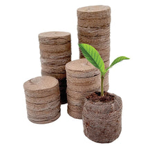 Jiffy 72 Cell Greenhouse Seed Starter Kit with 36mm Peat Pellets