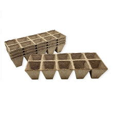 Jiffy-Strips-Biodegradable-Seed1 - USA Mega Market