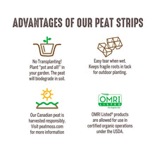 Jiffy-Strips Biodegradable Seed Starting Peat Strip (50 Pots), Has Drainage