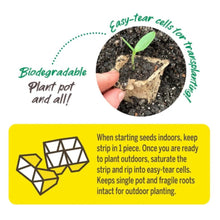 Jiffy-Strips-Biodegradable-Seed3 - USA Mega Market