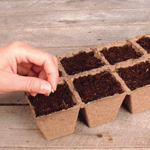 Jiffy-Strips-Biodegradable-Seed5 - USA Mega Market