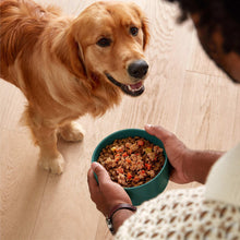 JinxHomemadesVarietyPack-WetDogFoodPack-9oz-12-count2-_3_913e73c4-5e17-4fb0-b9b7-bc858b19ca89 - USA Mega Market