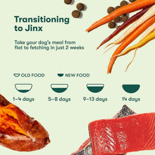 JinxSalmon_SweetPotato_CarrotRecipe_GrainFreeDryDogFood_23.5lbs.1_6129b067-b8ad-4921-8b4d-8c286968ef9c - USA Mega Market