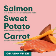 JinxSalmon_SweetPotato_CarrotRecipe_GrainFreeDryDogFood_23.5lbs.5_d40741e2-5230-48aa-be67-9ab51894c3ef - USA Mega Market