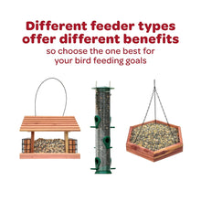 Kaytee-All-American-Wild-Bird-Fo4 - USA Mega Market
