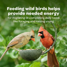 Kaytee-All-American-Wild-Bird-Fo5 - USA Mega Market