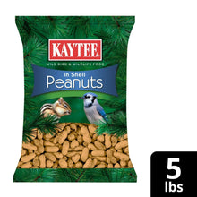 Kaytee In Shell Peanuts Wild Bird Feed, 5 Pounds