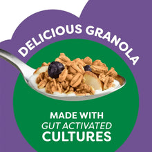 Kellogg-s-Kashi-Granola-Cereal-B4 - Brands For Less USA