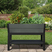 Keter-Darwin-29-Gallon-Raised-Garden-Bed-and-Self-Watering-Planter-Box1-_2 - USA Mega Market