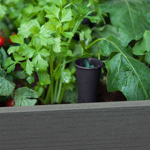 Keter-Darwin-29-Gallon-Raised-Garden-Bed-and-Self-Watering-Planter-Box7-_8 - USA Mega Market