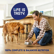 Kibbles-n-Bits-Triple-Steak-Flav5_a0dde19f-bf82-4ff1-8653-b7ca045f7be4 - USA Mega Market