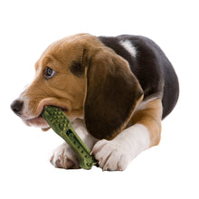 Kirkland Signature Dental Chews, 72-count