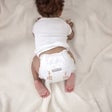 Kirkland Signature Diaper Sizes 3-7