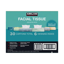 KirklandSignatureFacialTissue-2-Ply-110-count-30-pack3-_2 - Brands For Less USA