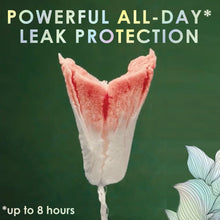 L. Tampons Super/Super Plus Absorbency, Made with Organic Cotton, 36 CT (PACK OF 3 )