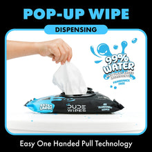 LiL' DUDE Flushable Wipes, Extra Large Fragrance Free Wet Wipes, 252 Count, 6 Pack