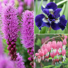 LongfieldGardenSolutionCollections1 - USA Mega Market