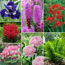 LongfieldGardenSolutionCollections - USA Mega Market