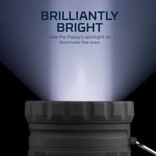 Lumen_Spotlight_6 - USA Mega Market