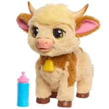 MAGGIE-FEED-FOLL-COW-601b3681-fb70-4bfd-9d52-94c1e3a373a4-a1b57e7cc438c683f51b984b4e371b62-_1 - USA Mega Market