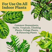 MG-INDOOR-AP-PM-6QT_6f72a199-1ec10_da8b9256-9fd2-4efd-a0a0-47ddc22b105c - USA Mega Market