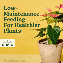 MG-INDOOR-SPIKES-ALL-PLANTS-48-S3-7976103c-691d-4fc1-a04b-5e4599b3de46-_4 - USA Mega Market