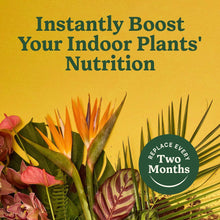 MG-INDOOR-SPIKES-ALL-PLANTS-48-S6-4f7537c5-2686-4dce-9f0b-6a482c32c96d-_7 - USA Mega Market