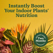 Miracle-Gro Indoor Plant Food Spikes for All Plants, For Houseplants and More, 48 spikes