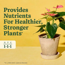 Miracle-Gro Indoor Plant Food for All Plants, Liquid Plant Food, 8 fl. oz.