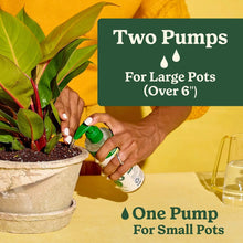 Miracle-Gro Indoor Plant Food for All Plants, Liquid Plant Food, 8 fl. oz.