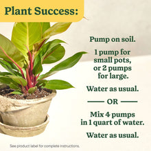 MIRACLE-GRO-8OZ-INDOOR-PLANT-FOO5-_6 - USA Mega Market