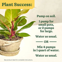 Miracle-Gro Indoor Plant Food for All Plants, Liquid Plant Food, 8 fl. oz.