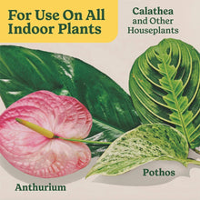 Miracle-Gro Indoor Plant Food for All Plants, Liquid Plant Food, 8 fl. oz.